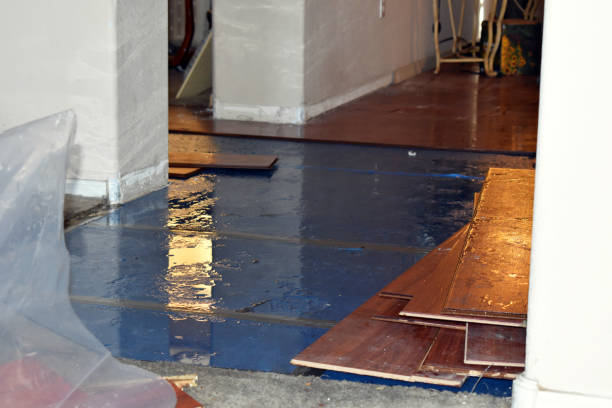 Professional Burst Pipe Cleanup technician working in Richeyville, PA